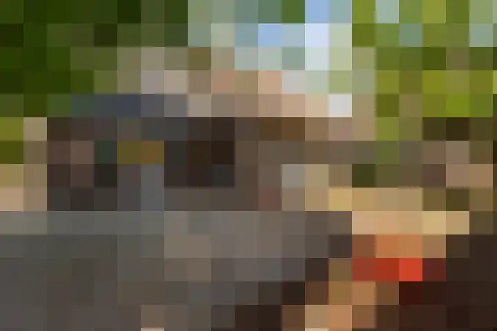 Wiemanstraat 11 Emst thumbnail 60