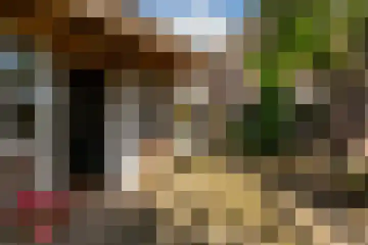 Wiemanstraat 11 Emst thumbnail 62