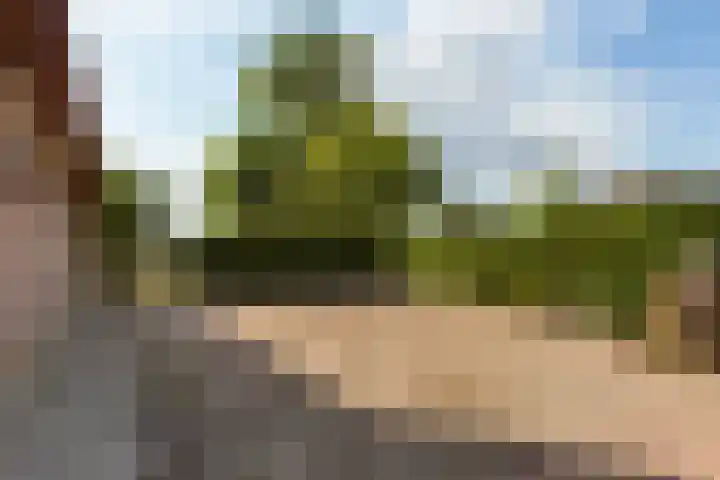 Wiemanstraat 11 Emst thumbnail 64