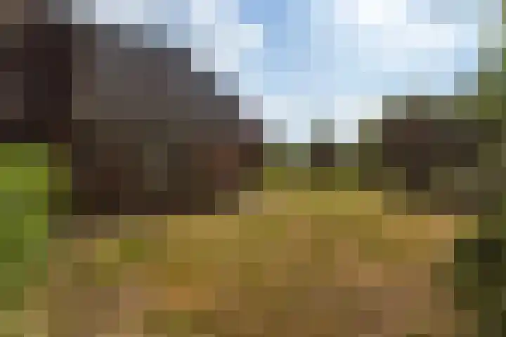 Wiemanstraat 11 Emst thumbnail 66