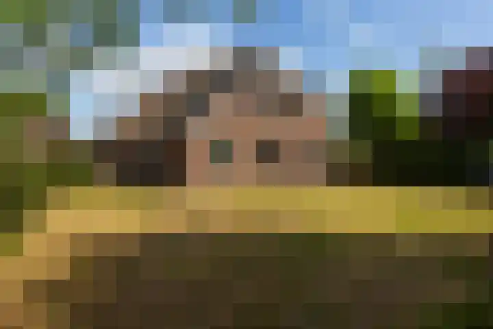 Wiemanstraat 11 Emst thumbnail 67
