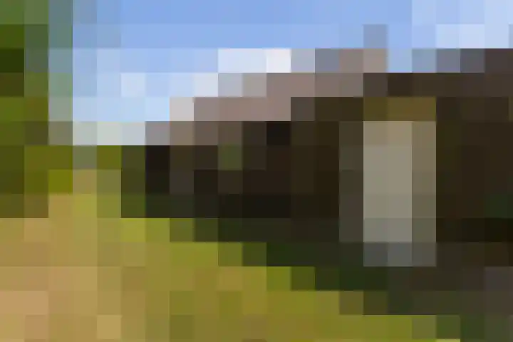 Wiemanstraat 11 Emst thumbnail 68
