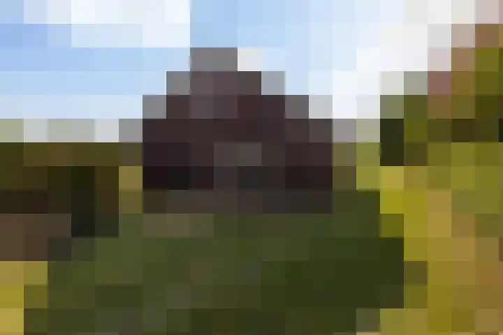 Wiemanstraat 11 Emst thumbnail 69