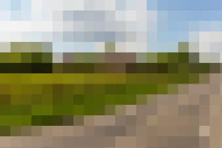 Wiemanstraat 11 Emst thumbnail 76