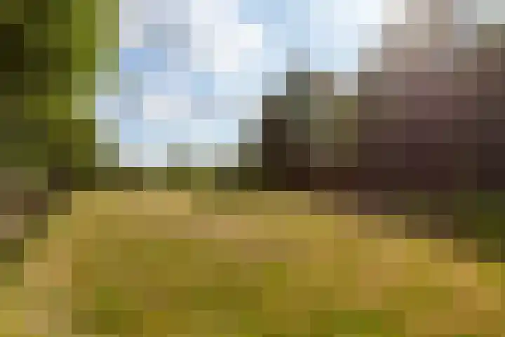 Wiemanstraat 11 Emst thumbnail 78
