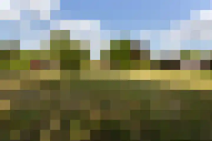 Wiemanstraat 11 Emst thumbnail 79