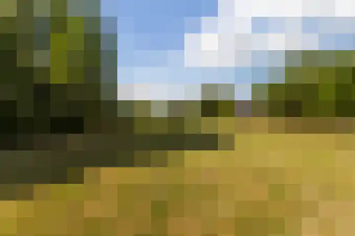 Wiemanstraat 11 Emst thumbnail 80