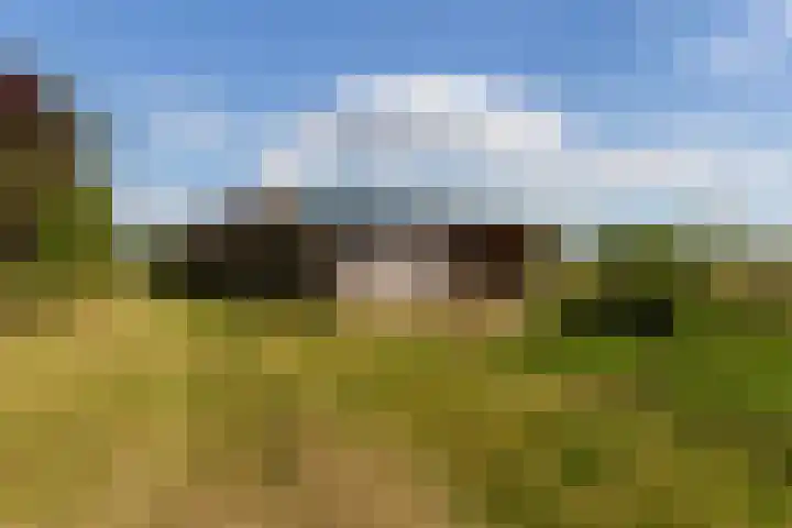 Wiemanstraat 11 Emst thumbnail 81