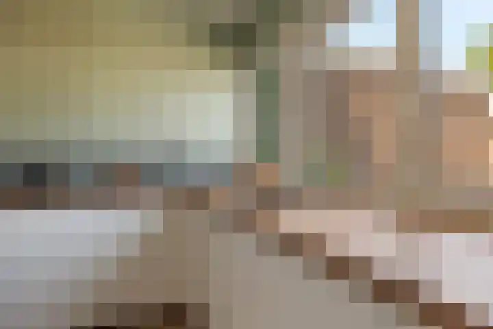 Wiemers 12 Veendam thumbnail 12