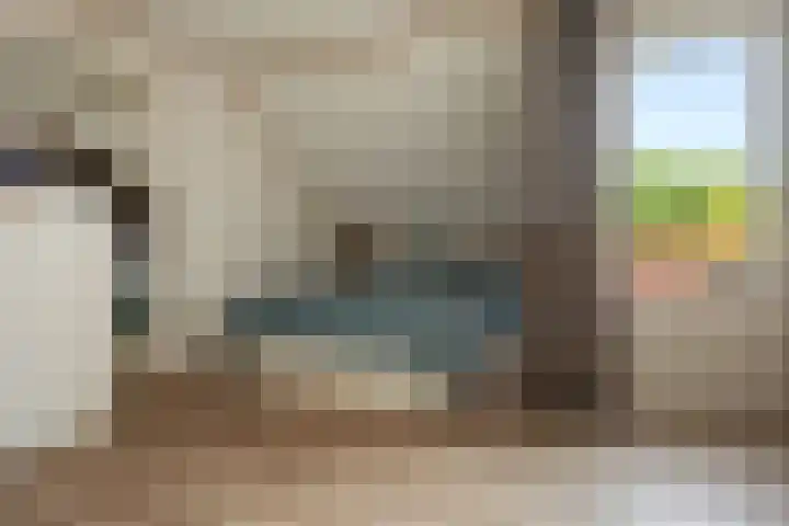 Wiemers 12 Veendam thumbnail 15