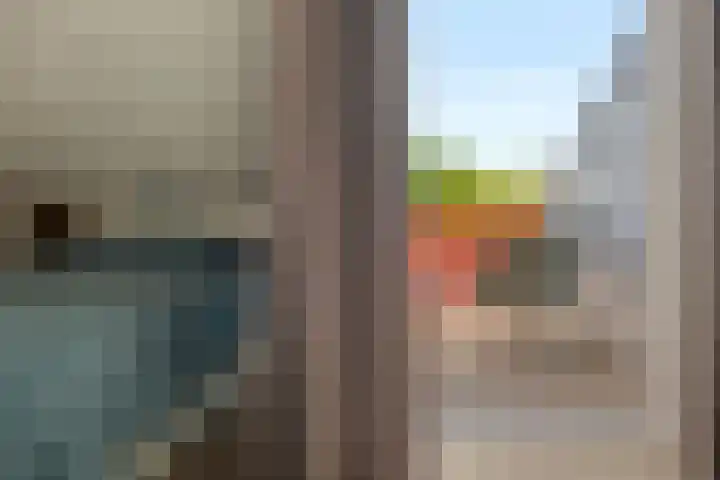 Wiemers 12 Veendam thumbnail 16
