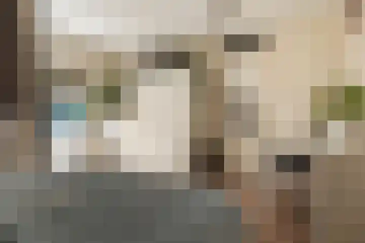 Wiemers 12 Veendam thumbnail 17