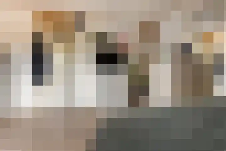 Wiemers 12 Veendam thumbnail 20