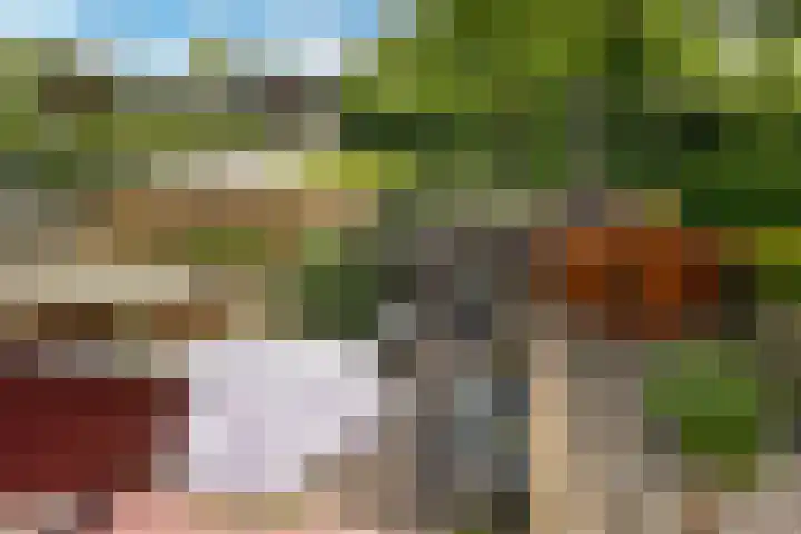 Wiemers 12 Veendam thumbnail 21