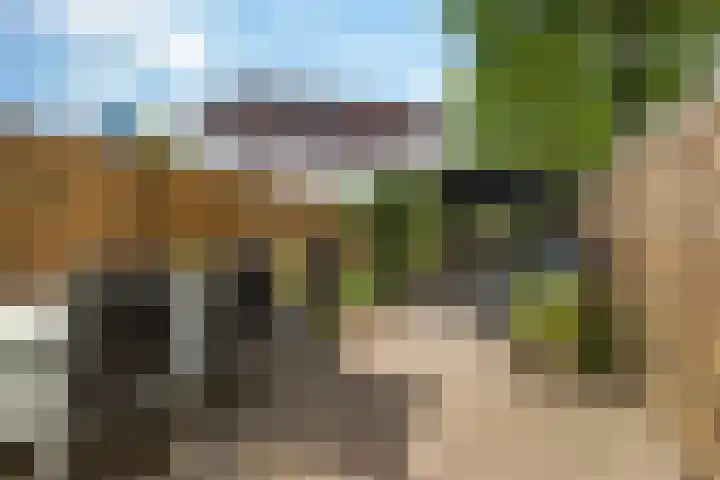 Wiemers 12 Veendam thumbnail 27