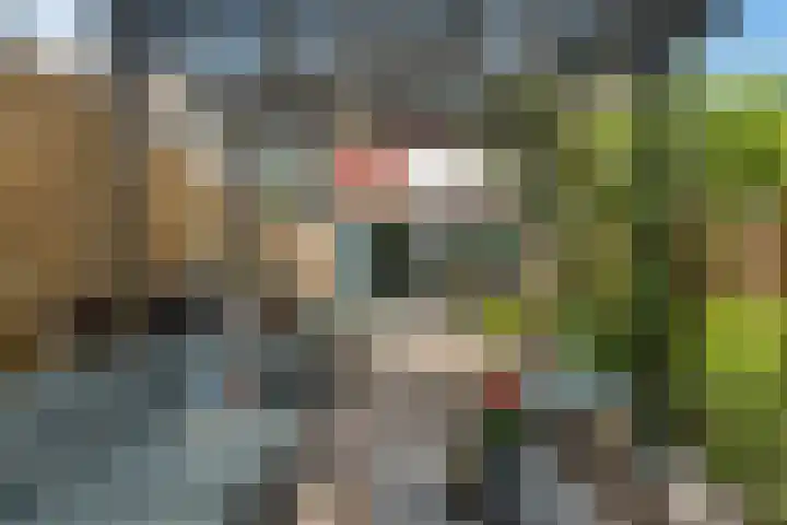 Wiemers 12 Veendam thumbnail 28