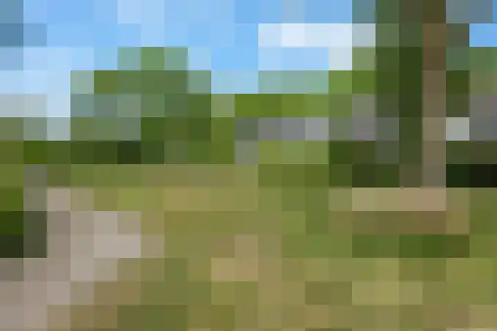 Wiemers 12 Veendam thumbnail 32