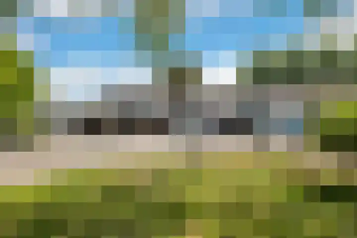 Wiemers 12 Veendam thumbnail 33