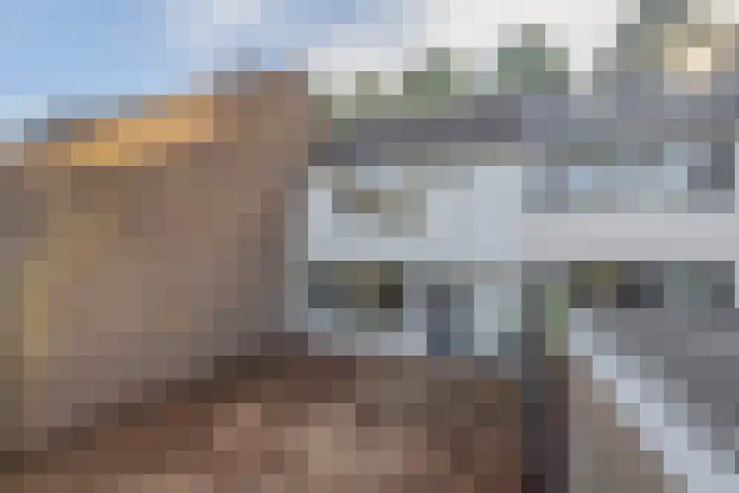 Wiemers 17 Veendam thumbnail 7