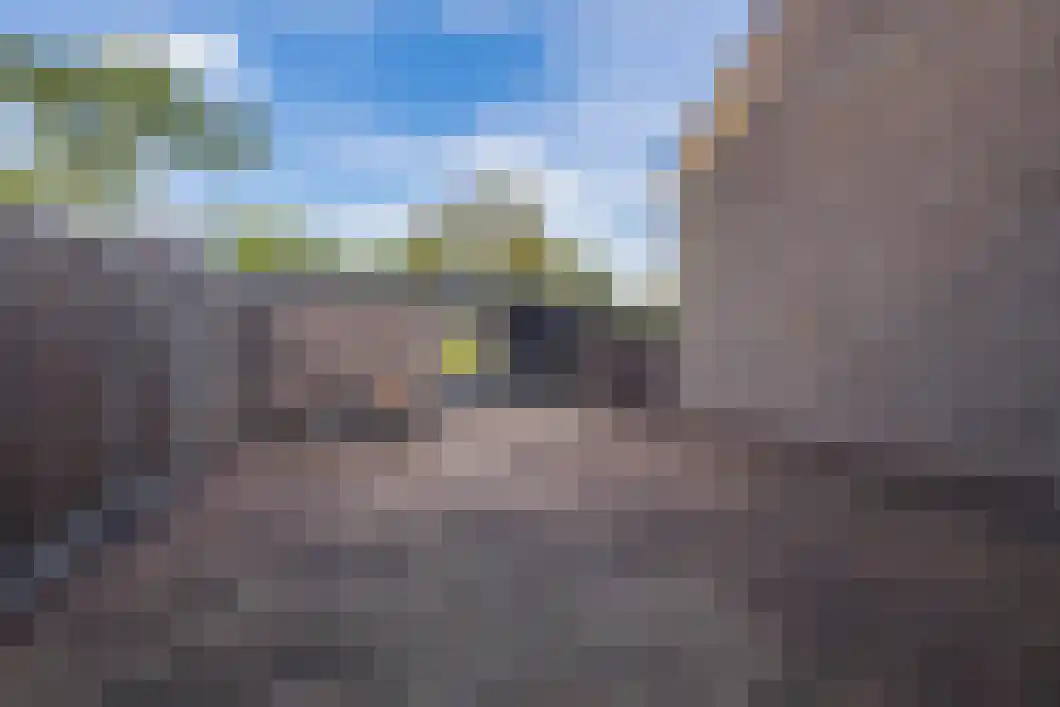 Wiemers 17 Veendam thumbnail 8