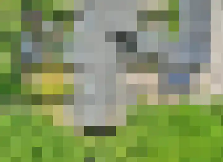 Wiemers 27 Veendam thumbnail 47