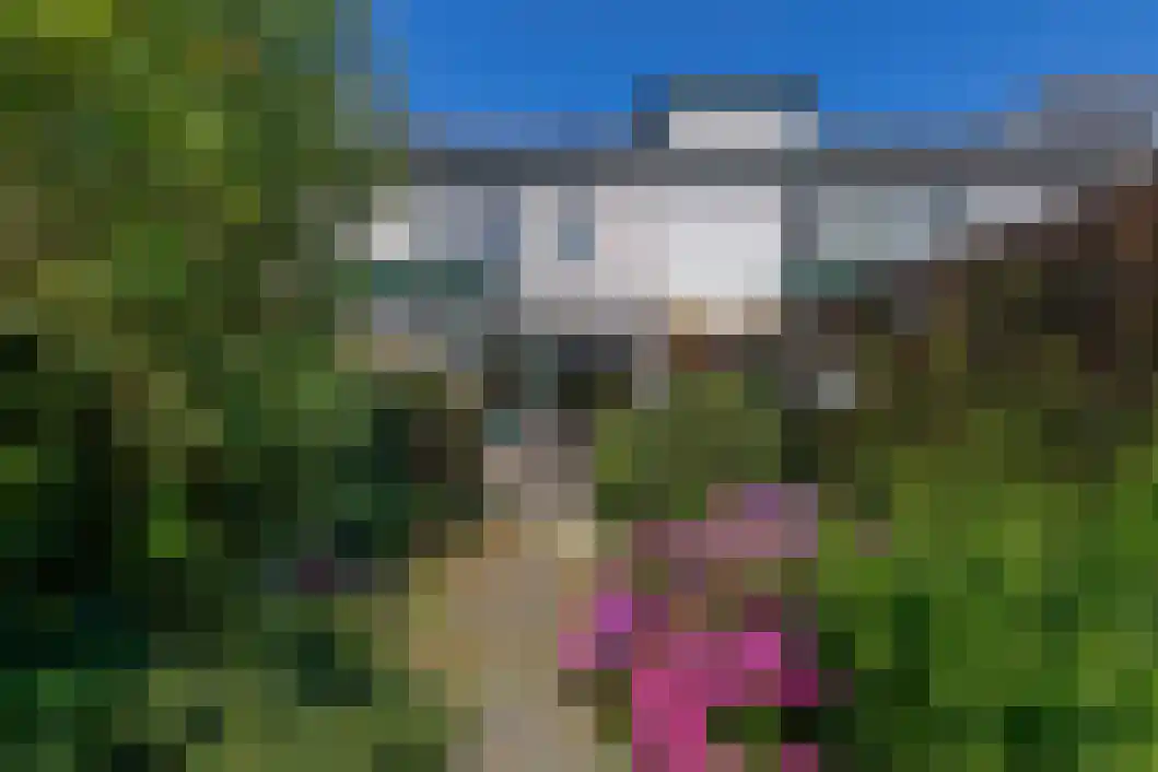 Wiemers 38 Veendam thumbnail 34