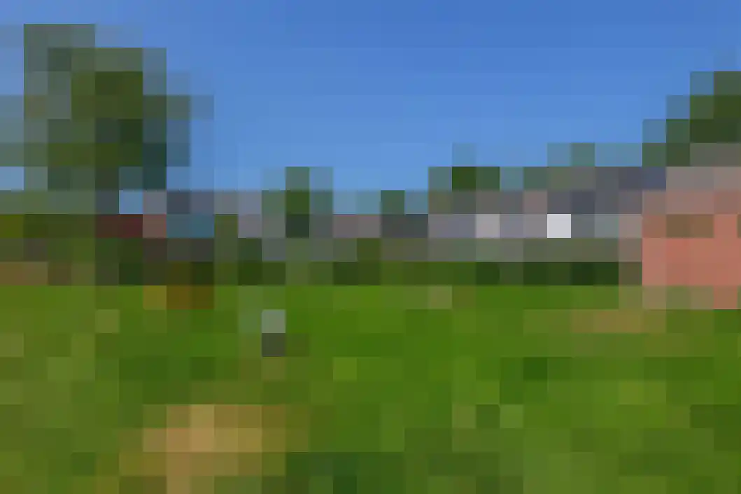 Wiemers 38 Veendam thumbnail 37