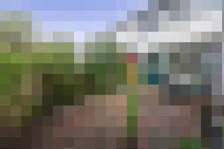 Wiemers 42 Veendam thumbnail 24