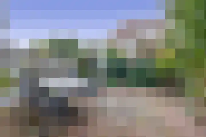 Wiemers 42 Veendam thumbnail 25