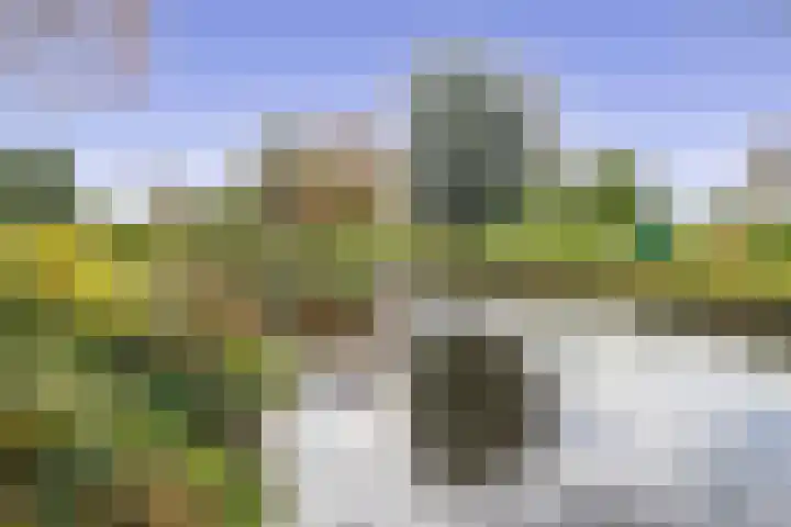 Wiemers 42 Veendam thumbnail 26