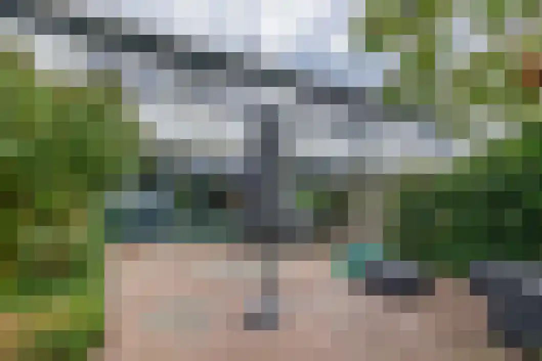 Wiemers 42 Veendam thumbnail 27