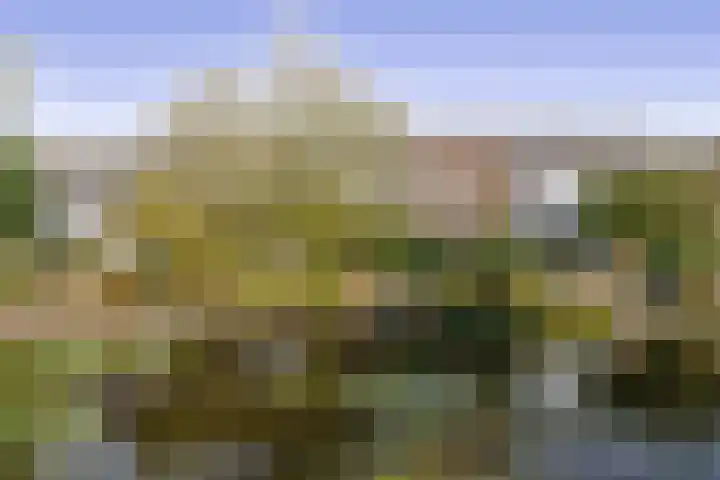 Wiemers 42 Veendam thumbnail 28