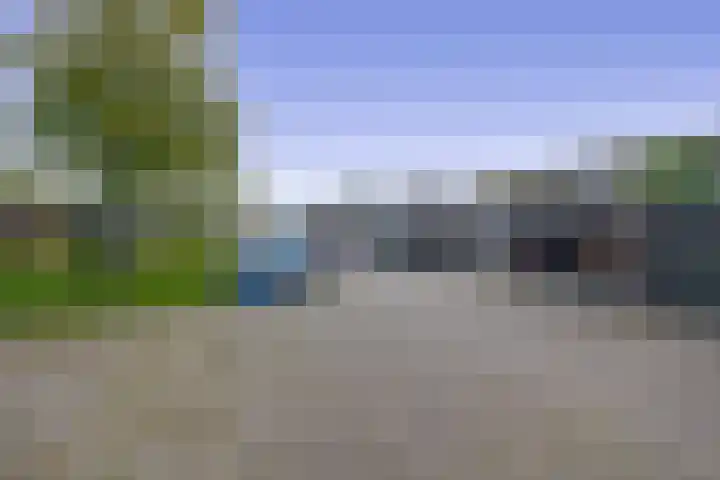 Wiemers 42 Veendam thumbnail 30