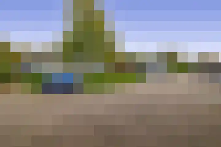 Wiemers 42 Veendam thumbnail 31