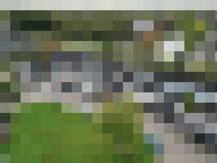 Wiemers 42 Veendam thumbnail 33
