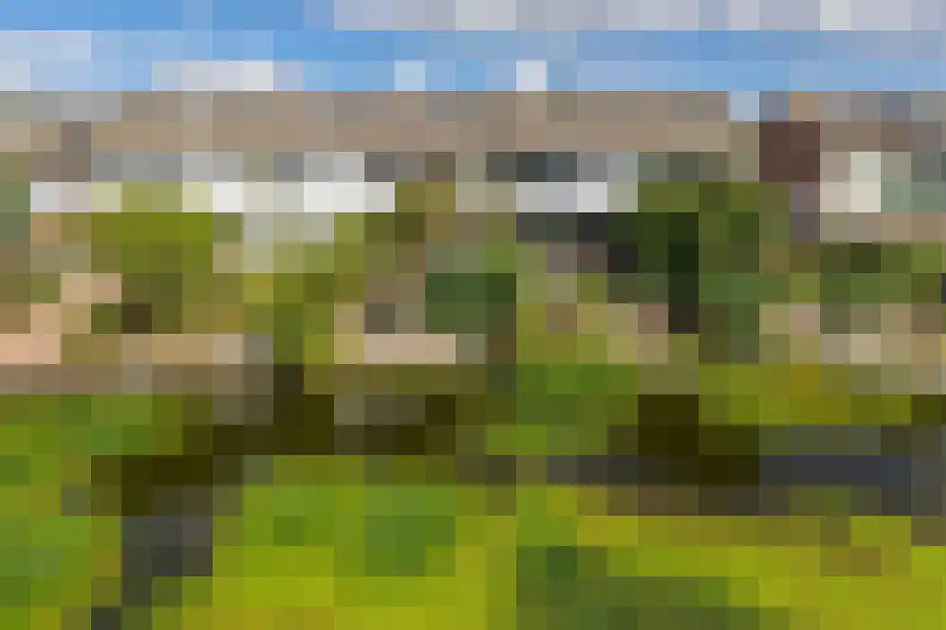 Wiemers 42 Veendam thumbnail 34