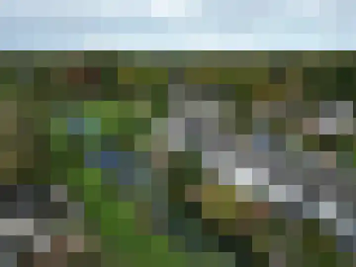 Wiemers 42 Veendam thumbnail 34