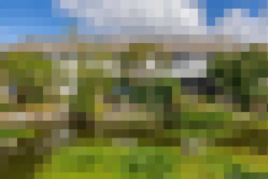 Wiemers 42 Veendam thumbnail 35