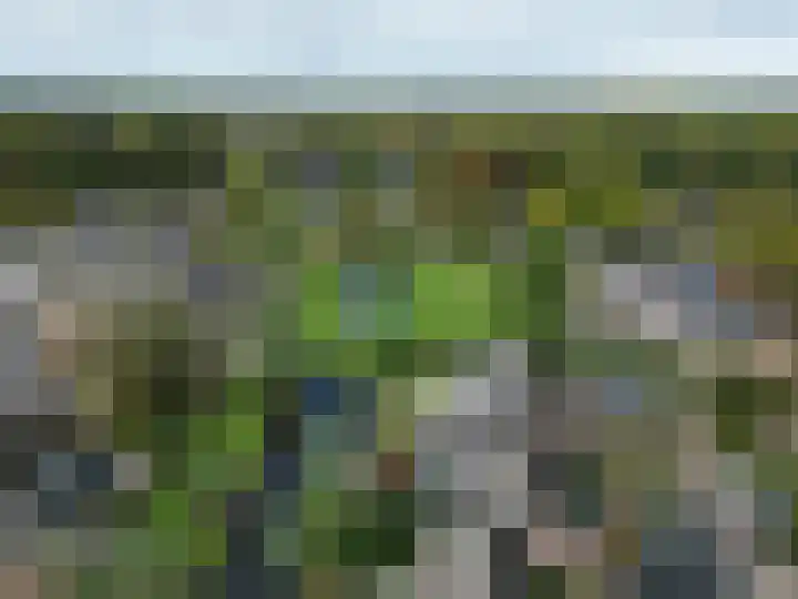 Wiemers 42 Veendam thumbnail 36