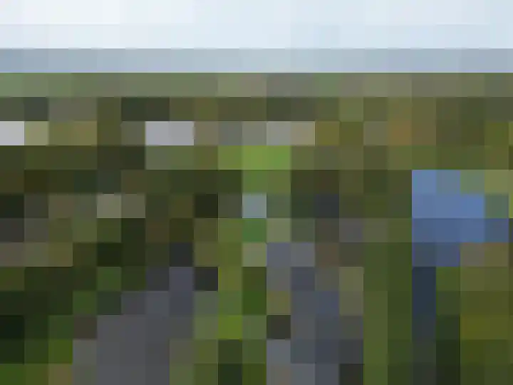 Wiemers 42 Veendam thumbnail 37