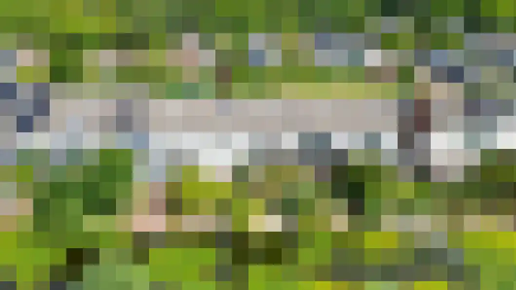 Wiemers 42 Veendam thumbnail 38