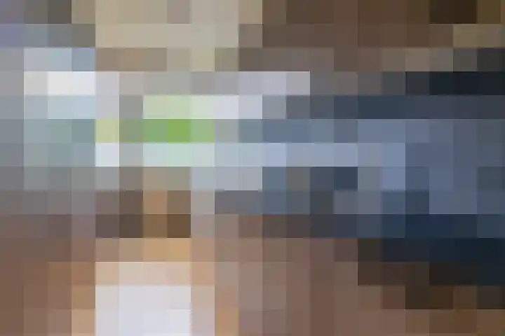 Wiemers 42 Veendam thumbnail 4