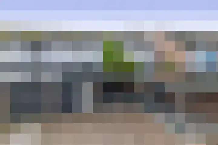 Wiemers 42 Veendam thumbnail 6