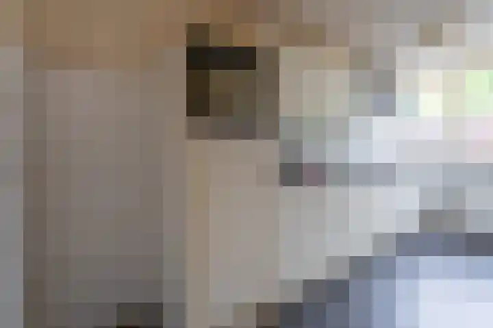 Wiemers 8 Veendam thumbnail 11