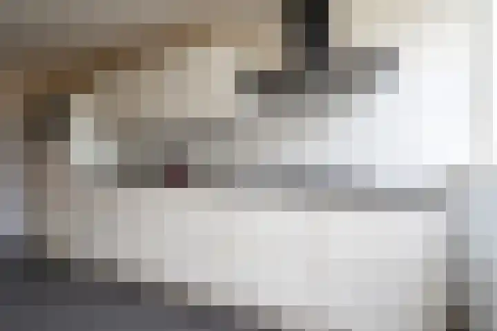 Wiemers 8 Veendam thumbnail 12