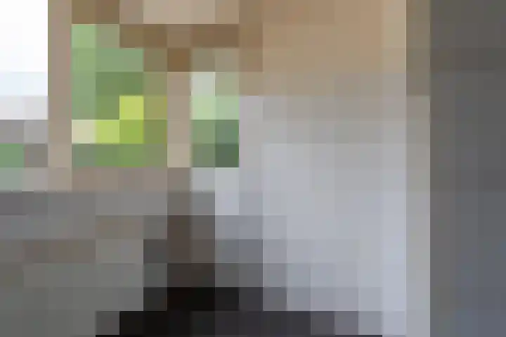 Wiemers 8 Veendam thumbnail 13