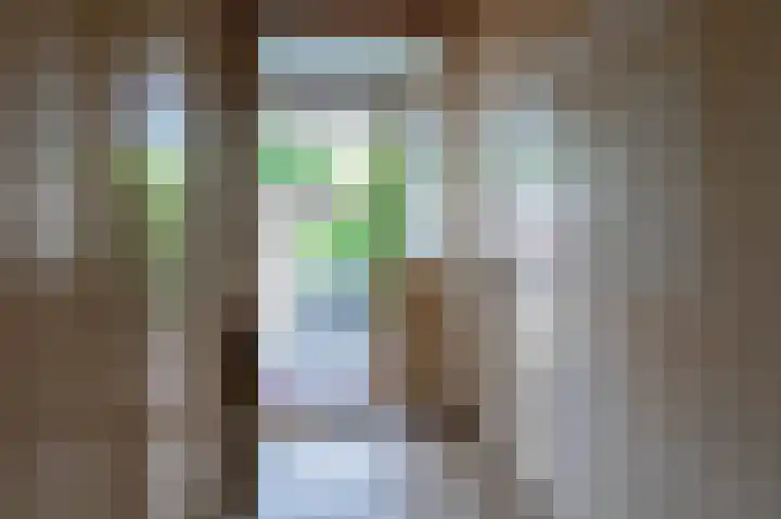 Wiemers 8 Veendam thumbnail 15