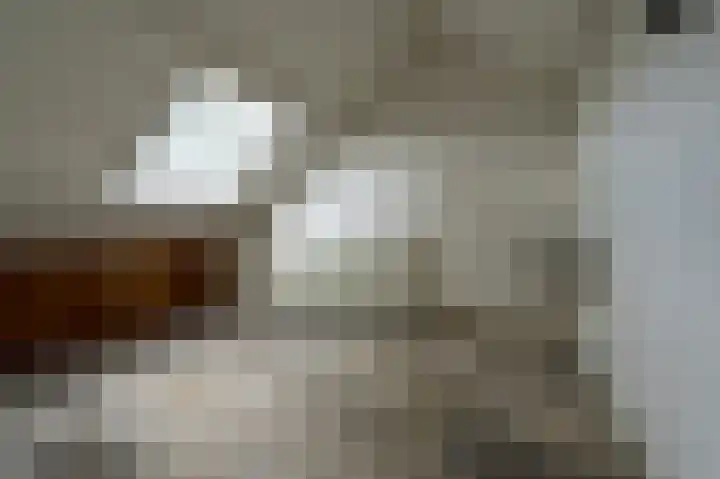 Wiemers 8 Veendam thumbnail 27