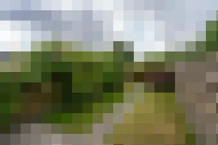 Wiemers 8 Veendam thumbnail 30