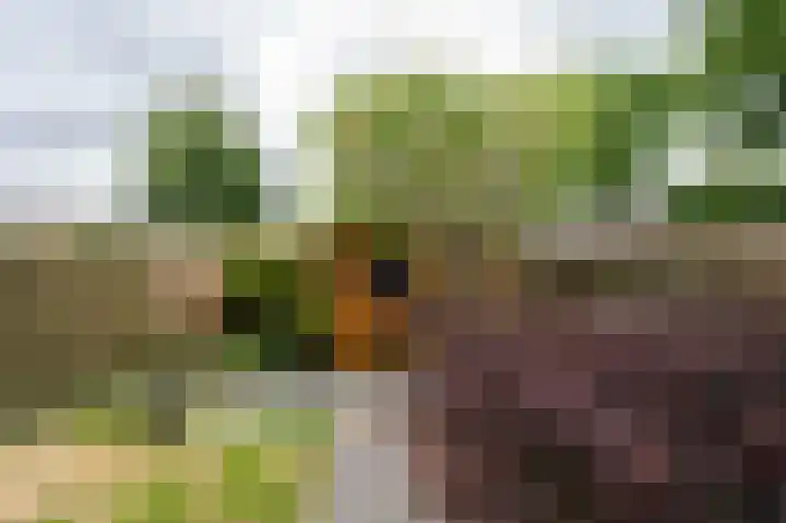Wiemers 8 Veendam thumbnail 31